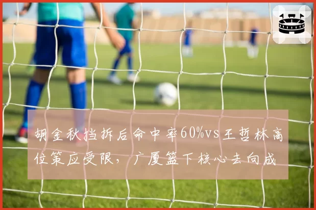 胡金秋挡拆后命中率60%vs王哲林高位策应受限，广厦篮下核心去向成休赛期焦点