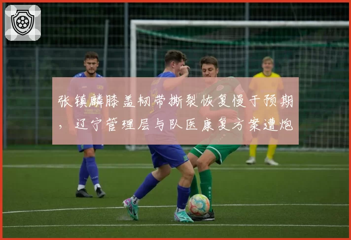 张镇麟膝盖韧带撕裂恢复慢于预期，辽宁管理层与队医康复方案遭炮轰